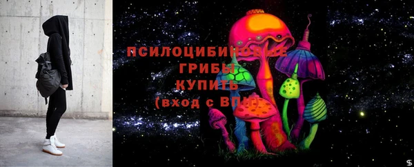 гашик Нея