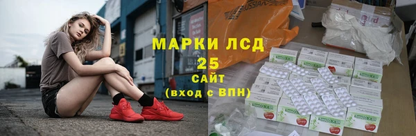 гашик Нея