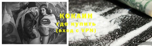 гашик Нея