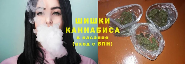 гашик Нея