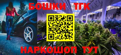 шишки Заводоуковск