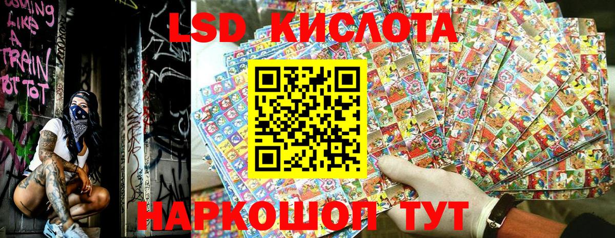 МЕФ Кандалакша