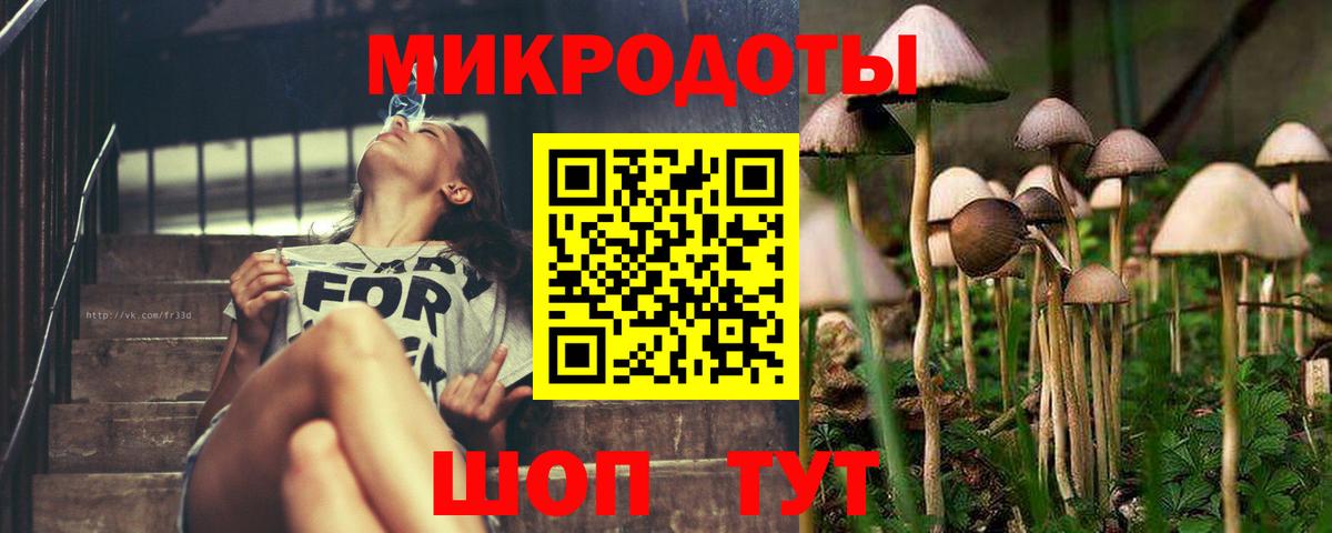 Кандалакша  Псилоцибиновые грибы мицелий  Вход с VPN  Галлюциногенные грибы Psilocybine cubensis 