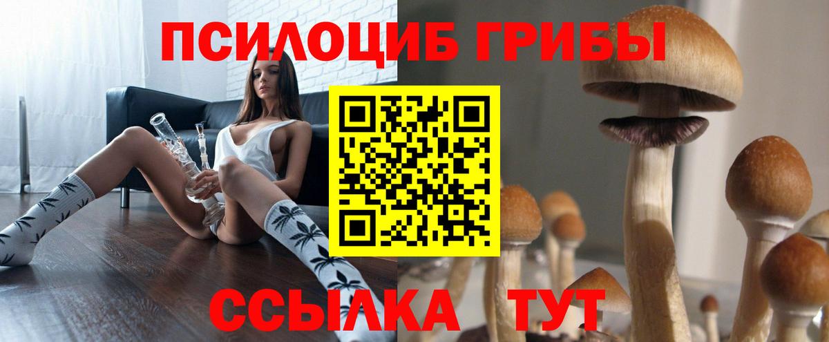 Галлюциногенные грибы Magic Shrooms Кандалакша