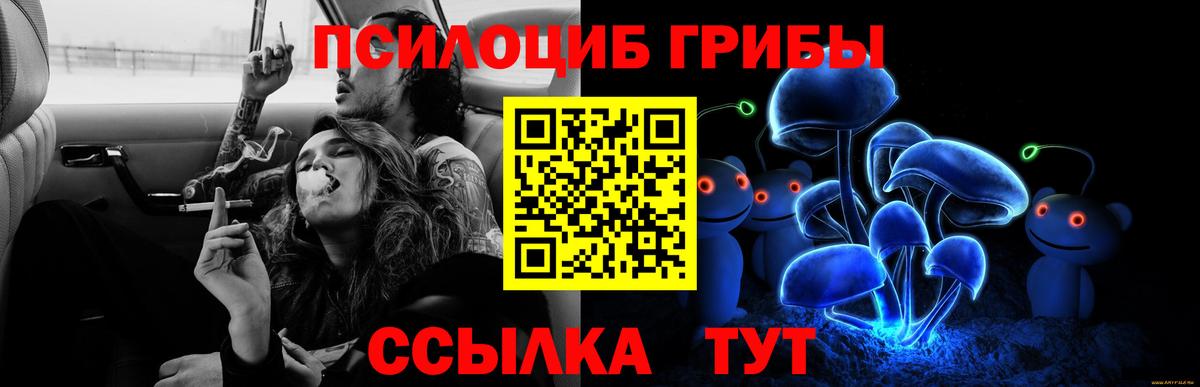 Псилоцибиновые грибы мицелий Кандалакша